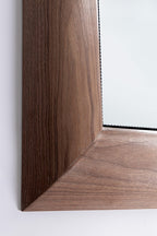 Bugloss Mirrow With Frame