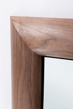 Bugloss Mirrow With Frame