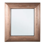 Bugloss Mirrow With Frame